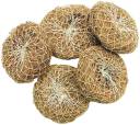 Natural Vetiver Bath Scrubber: Plastic-Free & Organic Khus Exfoliator 5